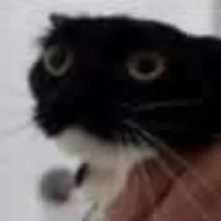 🆘