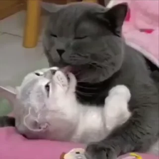 ❤️