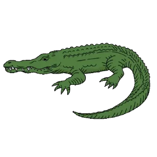 🐊