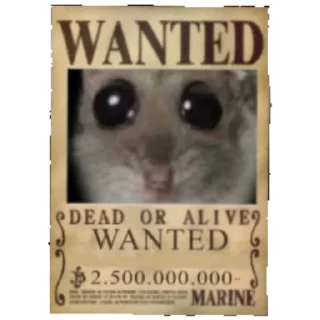 🔎