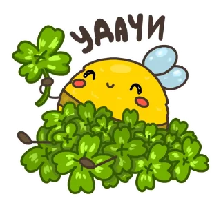 🍀