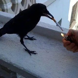 😔