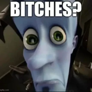No bitches