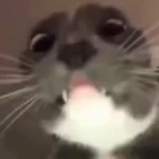 🤓
