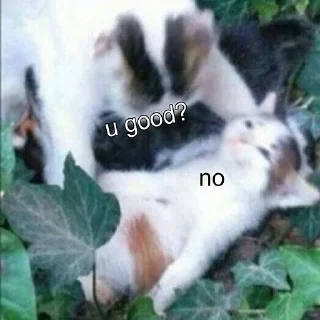 ⚰