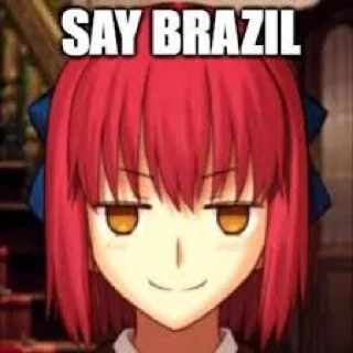 🇧🇷