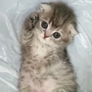 😁