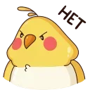 🙅‍♂️