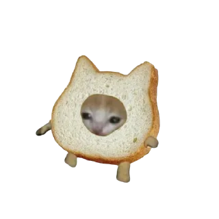 🍞
