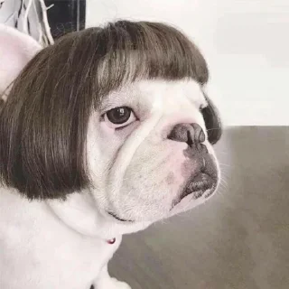 👀