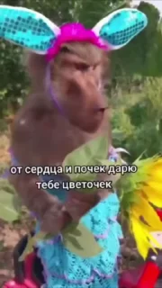 😳