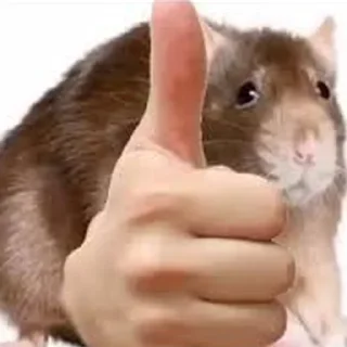 👍