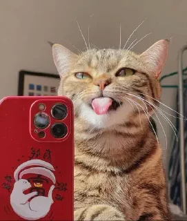 😜