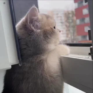 ☁️