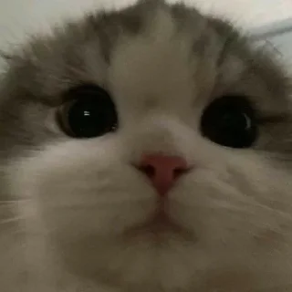 😶