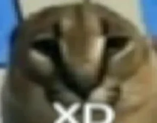 🤯