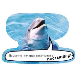 🐬