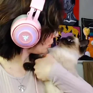 😽