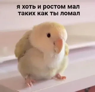 🏋‍♀️