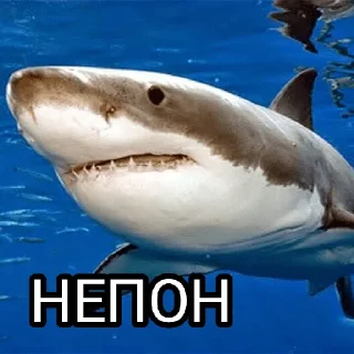 🤨