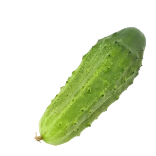 🥒