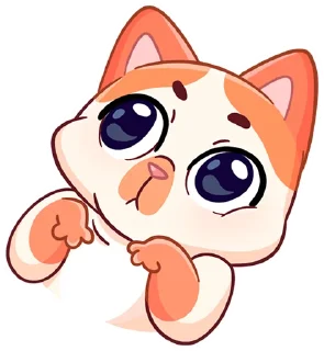 🐾