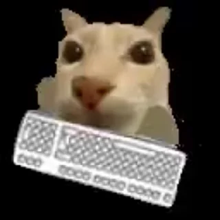 💬