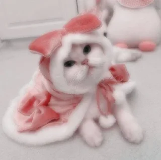 🫶