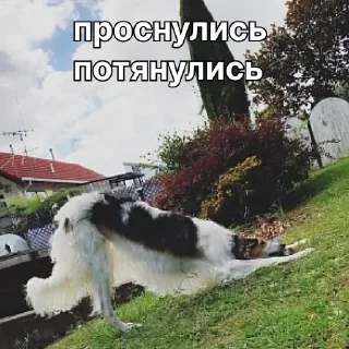 ☀️