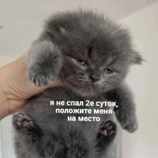 😑