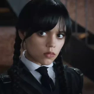 🕷️