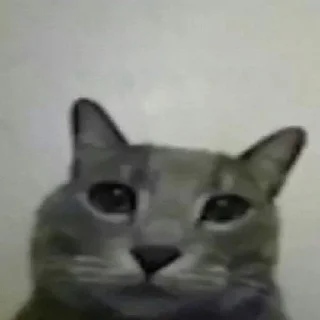 🙁