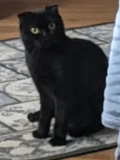 🧐