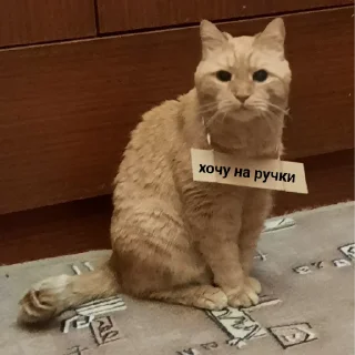 😥