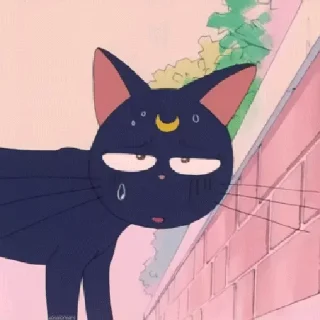 😪