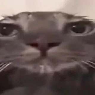 🛁