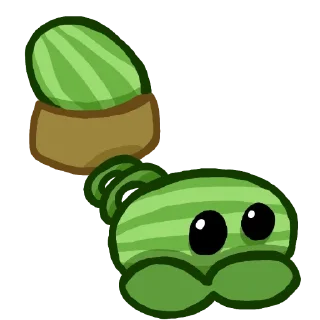 🍉