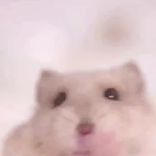 👐