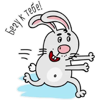 🐰
