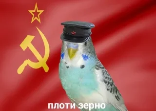 💸