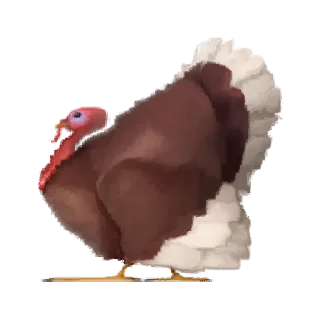 🦃