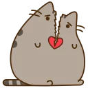 🐱