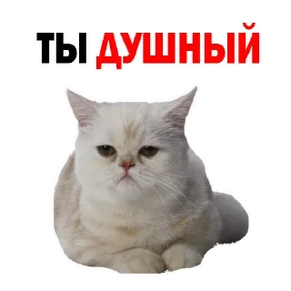 😐