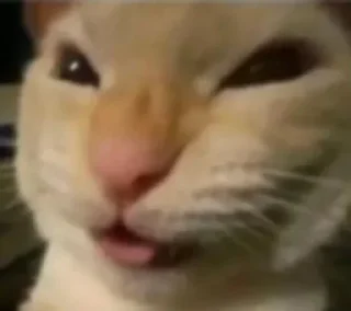😄