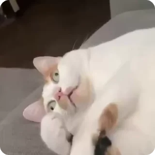 🤪