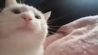 😧