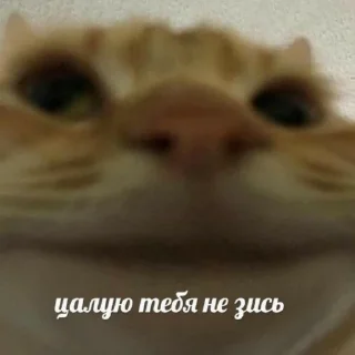 😘