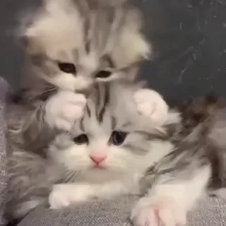 🥱