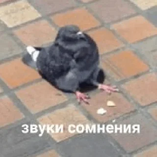 🫥