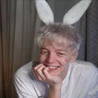 🐰